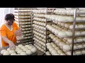 Chinese Steamed Pork Bun Cabbage Bun Mass Production 三星蔥肉包 高麗菜包 Taiwan Street Food
