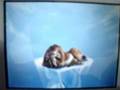 Ice Age 2 The Meltdown Nintendo DS