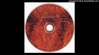 Assemblage 23 - Naked (Tricky Tick Remix By Clear Vision)