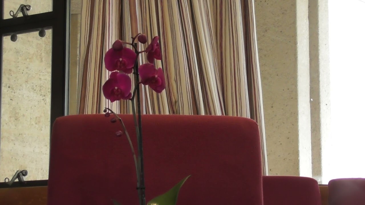 Mindful Retreat Meditation 3. Opening the heart.