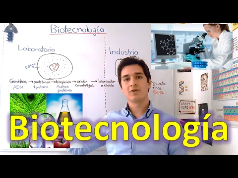 download lagu mp3 mp4 Biotecnologa Para Principiantes, download lagu Biotecnologa Para Principiantes gratis, unduh video klip Biotecnologa Para Principiantes