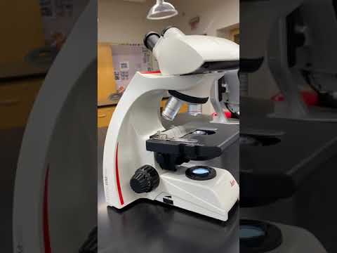 Microscopy Lab Presentation