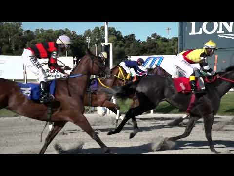 230115 c08 SEÑORA FEVER