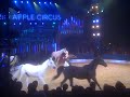 Big Apple Circus At Sussex County Fairgrounds Oct 8th Pt 2
