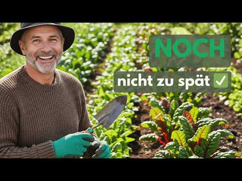 12 vegetables you can still sow and plant in September! 🌱