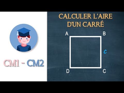 Calculer l'aire d'un carré - CM1 CM2 - Petits Savants