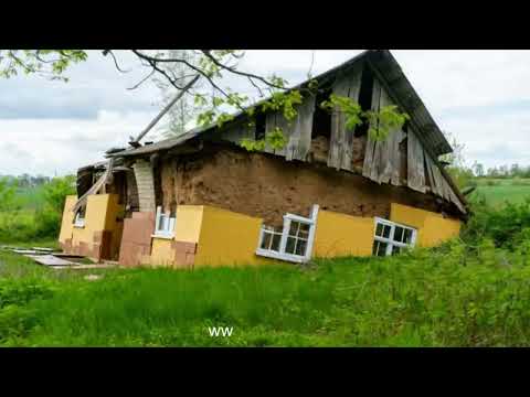 Pušalotas, vienkiemis pigus