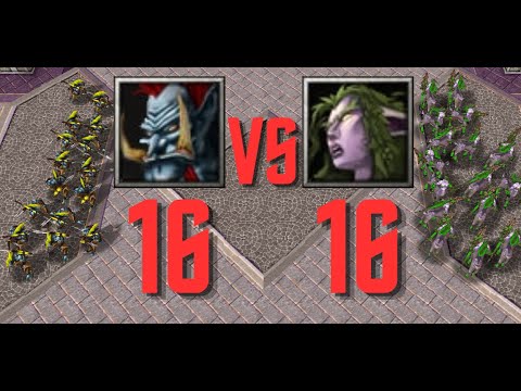 16 Troll Headhunter VS 16 Dryad - Unit battle Warcraft III