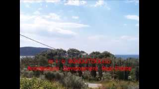 41 FOR RENT ANAVYSSOS HOUSE WITH SEA VIEW CLOSE TO THE SEASIDE