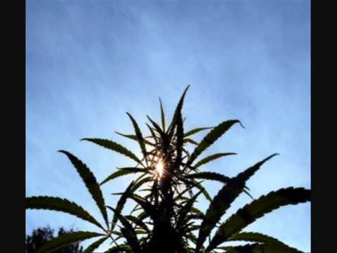 Ceks feat. Grochu - Nie zamulamy