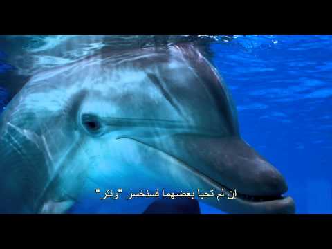 Dolphin Tale 2 - Trailer F2 - Arabic Subtitles