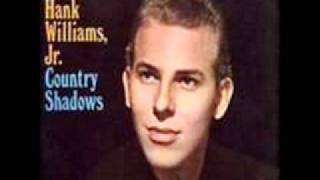 Hank Williams Jr - Confused