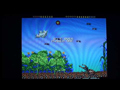 Lost On Parrot Island Amiga