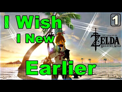 I Wish I knew Earlier in Zelda Breath of The Wild #1