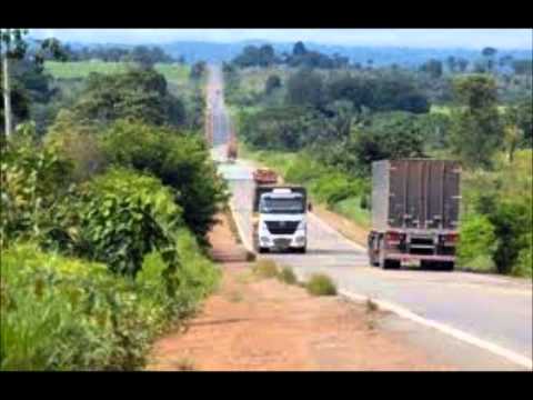Caminhoneiro Eh Bicho Louco - Chitaozinho E Xororo