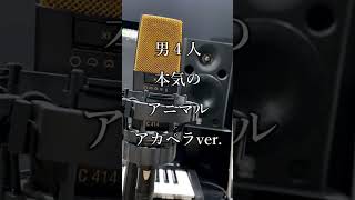 - 【アカペラ】男⁇⁇4人本気の『アニマル』【歌ってみた】#shorts