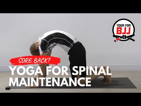 Spinal Maintenance | Yoga Stretches for Back Pain