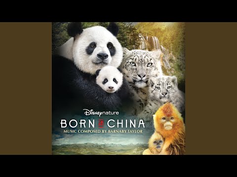 Born in China