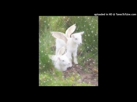 hyperpop x bladee x yung lean type beat - "talk" [Prod. methboiswag]