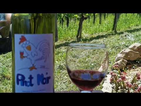 Räbhüüssli Schinznach-Dorf