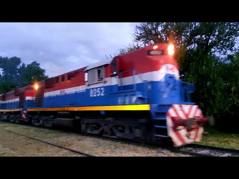 [4K] Lindo, variado y colorido tren de NCA pasando por Marcos Juárez rumbo al oeste al atardecer!!!!