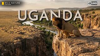 UGANDA SELVAGEM - A Força, o Instinto e as Leis da Natureza Africana | Documentário Animal