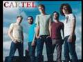 cartel "the best and wasted(remix)"