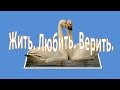 Афоризмы,и цитаты. Жить. Любить. Верить.[Ludmila Danilo] 