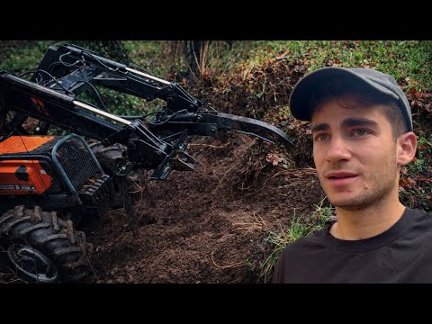 A New Look: Our Farm in Portugal Like Never Before