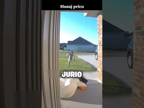 Snimila je ko je jurio njenu ćerku!😱#shorts #shortvideo #short #shortsfeed