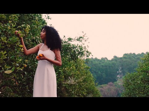 Corpo Ii - O Bairro Novo