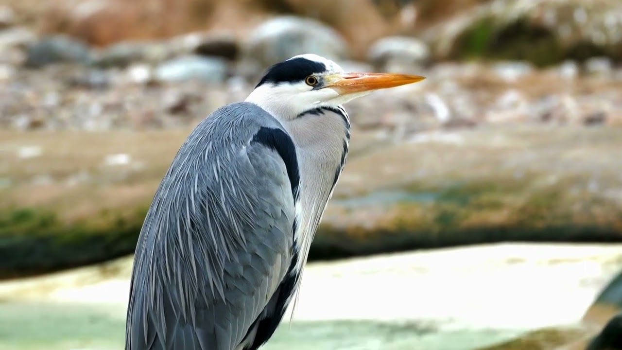 Why Coastal Resilience Matters