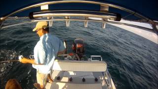 preview picture of video 'GoPro Hero-Trolling for kingfish, Freeport, TX'