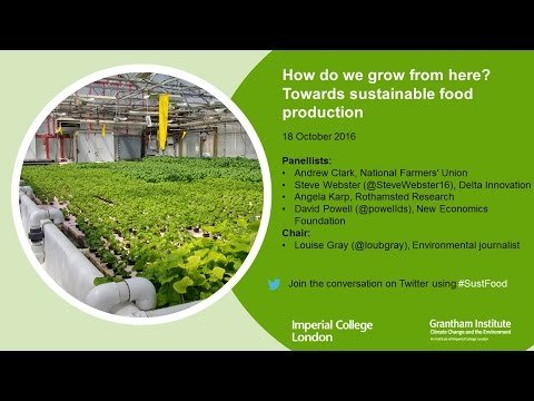 Experts Hungry For Change At Discussion On A Greener Future