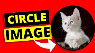 How To Circle A Picture In Google Docs | TUTORIAL