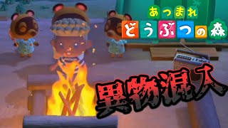 島にまで来るサイコパスがいるらしい【あつまれどうぶつの森】