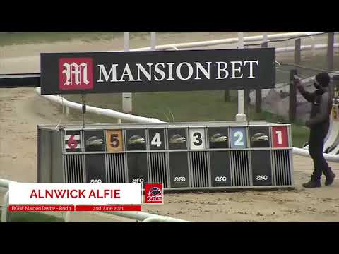 Alnwick Alfie - BGBF British Bred Maiden Derby - Heat 6