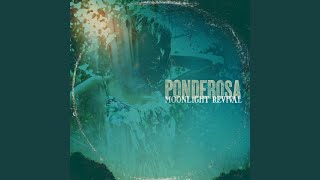 Devil on My Shoulder