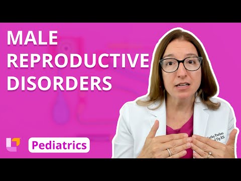 Male Reproductive Disorders: Alterations in Health - Pediatric Nursing | @LevelUpRN