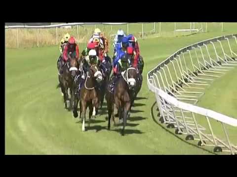 2016.12.17 Cape Guineas (RSA) - William Longsword