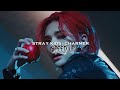 Stray Kids-Charmer speed up