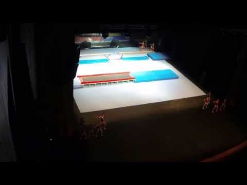 Sarau de Gala GCP 2014 - Ginástica Artística Feminina