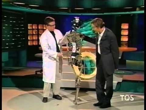 La Fin du Monde est à 7 heures - Best of 1999  3 - La Fin du Monde Sportif