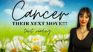 CANCER They want to be the man-woman you need!!!♥️♥️♥️ april tarot reading