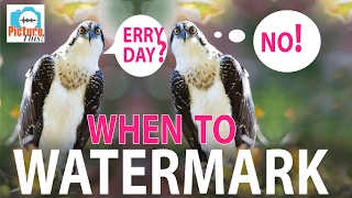 When to Watermark: Picture This! Podcast