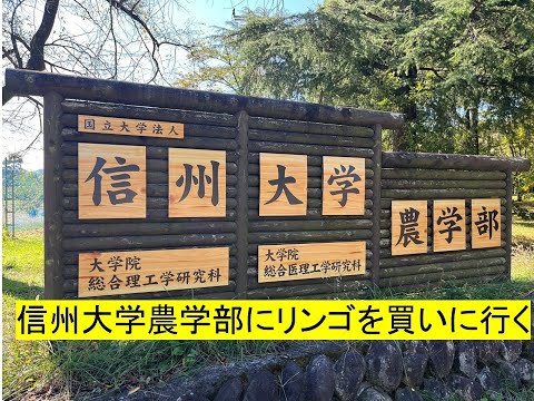 心理学科 信州大学農学部にリンゴを買いに行く