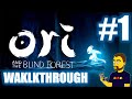 Hry na PC Ori and the Blind Forest (Definitive Edition)