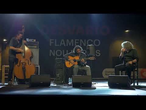 Festival Desvarío flamenco 2025. Antonio Serrano, Josemi Carmona y Javier Colina. Tanglu