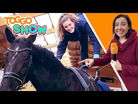 TRICKS auf dem Pferd | VOLTIGIEREN | Flitzi auf dem Reiterhof | UNTERWEGS | TOGGO Show