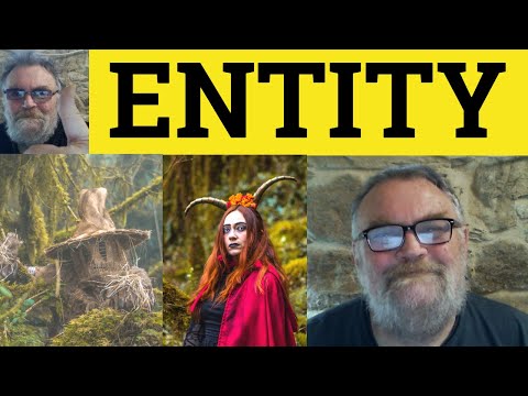 🔵 Entity Meaning - Entity Examples - Entity Definition - Concepts - Entity Defined - Entity